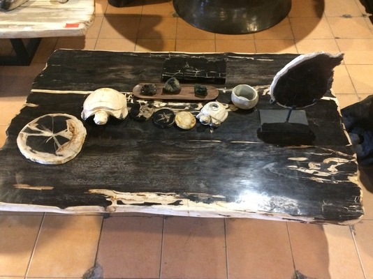 Tisch Fossil Esstisch Versteinertes Holz Couchtisch Natur Steintisch Küchentisch Wohnzimmertisch von TARSHOPBALI