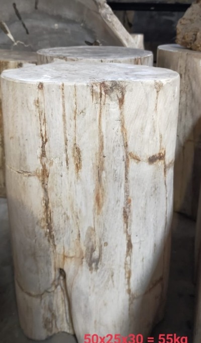 Fossil Tisch Beistelltisch Hocker Säule Versteinertes Holz Steintisch Naturstein Petrified wood von TARSHOPBALI