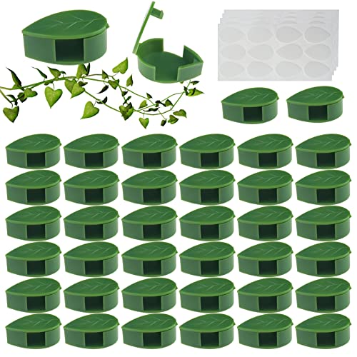 WZYTEU 80 Stück Pflanzenclips, Kletterpflanzen Befestigung Pflanzenklammern Selbstklebend für Heimdekoration Rebentraktion und Pflanzen Wand (Grün) von WZYTEU