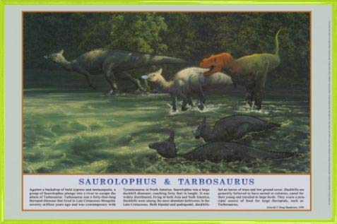 1art1 Dinosaurier Poster Plakat | Bild und Kunststoff-Rahmen - Saurolophus, Tarbosaurus (91 x 61cm) von 1art1