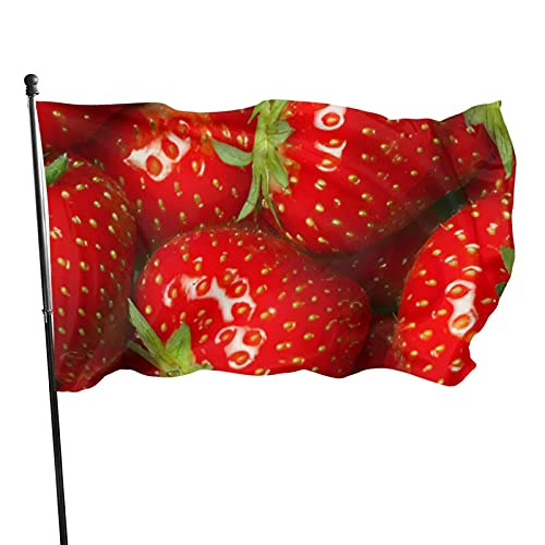 351 Garten Flagge 90x150cm, Rote Erdbeere Dekoration Dekorative Fahnen Verblassen Beständig Garten Flagge Außenbanner, Für Veranda, Garten von 351