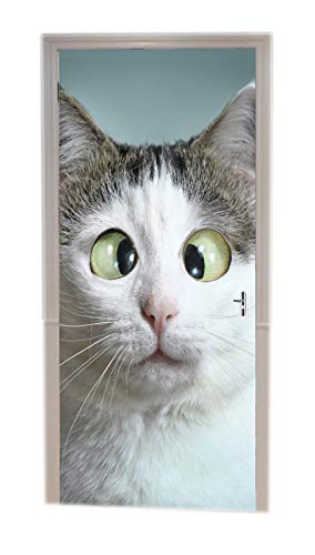 A.Monamour Türtapete Selbstklebend Türfolie Türposter 3D Lustiges Katzen Portrait Tier Haustier Thema Vinyl Folie Türdeko Tapete Wandbild Türaufkleber Türtattoo 77 x 200 cm von A.Monamour