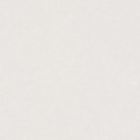 Schlichte Uni Vliestapete in Crème Weiße Tapete für Wohnzimmer und Flur abwaschbar Moderne einfarbige Wandtapete mit Vinyl - Beige, White von A.S. CREATIONS