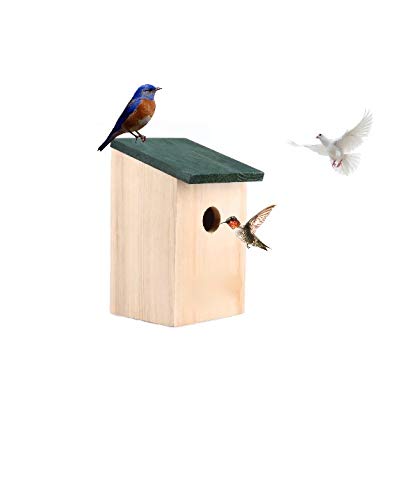 ADEPTNA Vogelhaus aus Holz für kleine Vögel, Spatzen, Blaumeise, Großmeisen, Rotkehlchen, fertig montiert von ADEPTNA