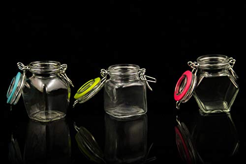 AGROHIT Einmachglas Glas 90ml Vorratsglas Weckgläser Bügelverschluß IDE6730 von AGROHIT