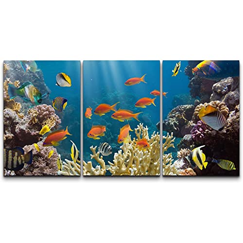 Leinwand Wand Bilder Korallen Und Fische Im Roten Meer äGypten Moderne Bilder Poster Home Gemälde Wohnzimmer Schlafzimmer Dekor Rahmenlos-50×70cm×3pcs von AIVYNA