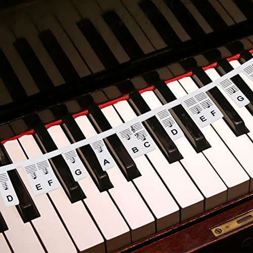 AMIJOUX Silikon-Klaviertastatur-Aufkleber Für 88 Taste, Abnehmbare Klaviertastatur-Buchstaben, Piano Notes Guide Piano Rake Key Labels Overlay Für Anfänger Piano Keyboard Note Labels Zum Lernen von AMIJOUX