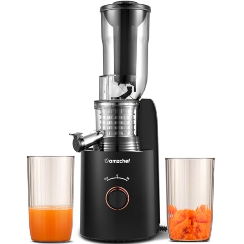 AMZCHEF Entsafter Slow Juicer mit 2 Patentierten Filtern - 250W Entsafter Gemüse und Obst Testsieger - Kaltpress Entsafter 85MM breiter Schacht, Leiser Motor, Rückwärts Funktion - Silber von AMZCHEF