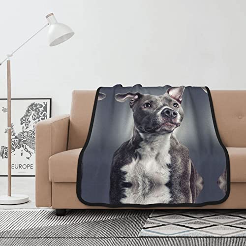 Decke Pitbull Hund Haustier Design Warm Flanell Fleece Plüsch Sofa Überwurfdecke als Tagesdecke/Decke/Bettdecke/Bettlaken 102 x 127 cm von ANGYANG