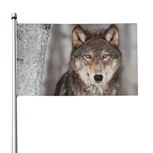 Gartenfahne Wild Wolf Print Hausfahne mit Fahne Dekoration Gartenhaus Banner für den Außenbereich 152x90cm von ANGYANG