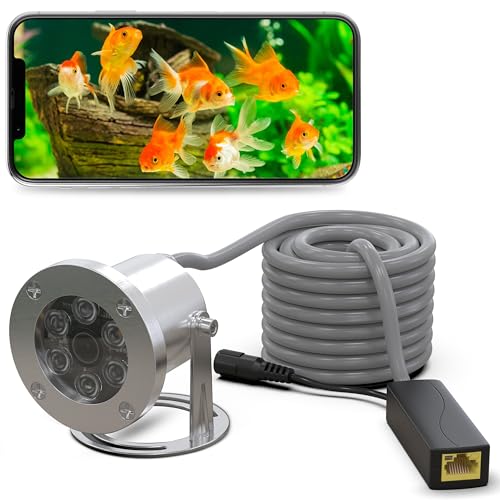 AP Teichkamera IP W5036-5MP Bildauflösung aus Edelstahl bis 5 m Wassertiefe, Unterwasserkamera Koi - Teich Kamera aussen für Teich Kamera POE Netzwerk wasserdicht von AP