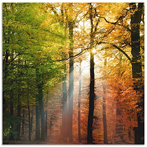 ARTland Wandbild Alu Verbundplatte für Innen & Outdoor Bild 50x50 cm Natur Landschaft Wald Herbst Sonne Bäume Landhaus T5VL von ARTLAND