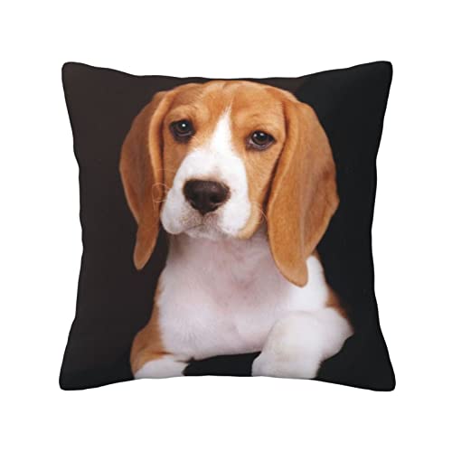 ASEELO Ovely Pet Hunde-Kissen, Beagle, 45,7 x 45,7 cm, für Wohnzimmer, Schlafzimmer, Sofa, Couch, Outdoor-Kissenbezüge von ASEELO