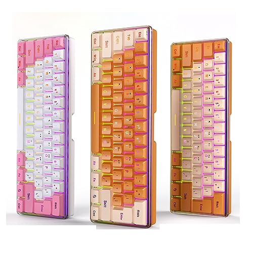 ASHATA Weiße 60% Kabelgebundene Gaming-Tastatur, RGB-Game-Tastatur, Imitierte Mechanische Technik, Kompakte 61-Tasten-Tastatur für Gamer-Schreibkraft (Rosa Weiß) von ASHATA