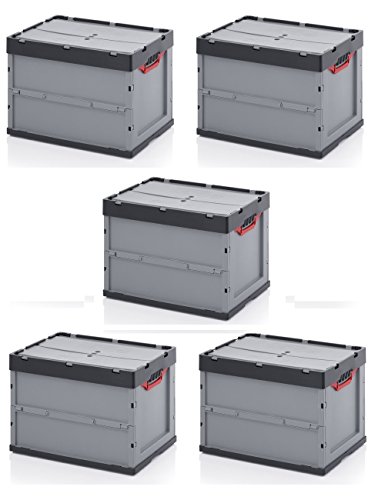 5x Profi-Faltbox 60 x 40 x 42 mit Deckel inkl. gratis Zollstock 5er Set von Auer Verlag i.d.AAP LW