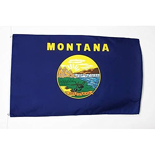 AZ FLAG Flagge Montana 150x90cm - Bundesstaat Montana Fahne 90 x 150 cm feiner Polyester - flaggen von AZ FLAG