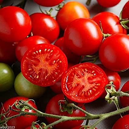 Aamish 30 Stück Campari Tomaten Gemüsesamen von Aamish