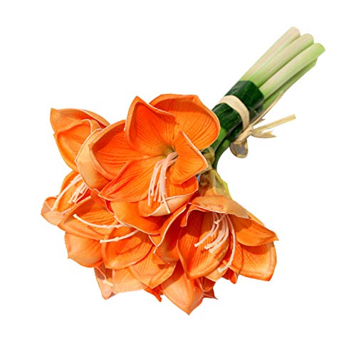 AchidistviQ 1 Strauß Künstliche Clivia-Blume Für Hochzeitsfeier-Hausgarten-DIY-Dekoration OrangeNone von AchidistviQ