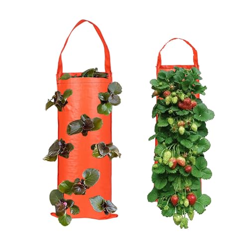 Agrdeed 2 Stück hängende erdbeeren,Erdbeere Pflanzsack,Pflanztasche Vertikal Pflanzsack Pflanzbeutel Erdbeere Grow Tasche mit 8 Löchern für Gartenerdbeeren, Kräuter, Blumen (Orange) von Agrdeed