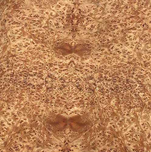 Aibote Natürlicher Burma-goldener Kampfer Wurzelholz Furnier Restaurierung Blatt Holzaufkleber DIY Material für Zuhause Hotel Tisch Küche Möbel (Gesamtgröße: 61 x 248,9 cm) (AAA Qualität) von Aibote