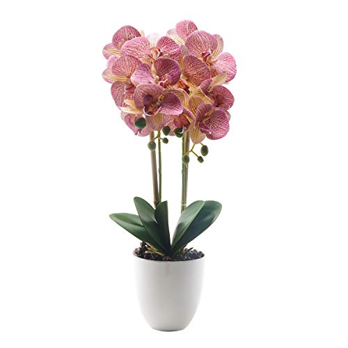 Alicemall Kunstpflanze Künstliche Orchidee Phalaenopsis im Topf aus Keramik 56 cm Helllila von Alicemall