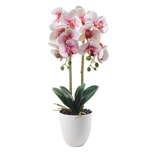 Alicemall Kunstpflanze Künstliche Orchidee Phalaenopsis im Topf aus Keramik 56 cm Pink von Alicemall