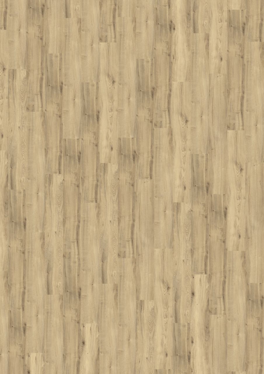 Decolife Designboden Nature Base Country Oak von Amorim