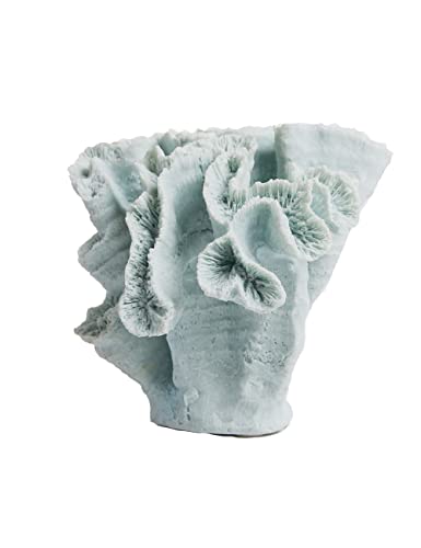 HAUCOZE Koralle Skulptur Figuren Ozean Dekor Geschenk Modern Arts Statue Wohnzimmer Kunst Polyresin Ornament 19cm von HAUCOZE