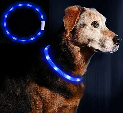 Anicoll LED Leuchthalsband Hunde Halsband USB wiederaufladbar - Längenverstellbarer Haustier Sicherheit Kragen für Hunde und Katzen- 4 Modus 12 Lichte (Blau) von Anicoll