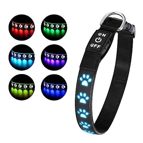 LED Leuchthalsband Hund,Leuchthalsband für Hunde Aufladbar,Hundehalsband Leuchtend Halsband für Hunde Einstellbare Größe Sicherheit,7 Farbwechsel M von Ankilo