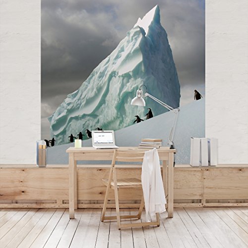 Apalis Vliestapete Arctic Penguins Fototapete Quadrat | Vlies Tapete Wandtapete Wandbild Foto 3D Fototapete für Schlafzimmer Wohnzimmer Küche | Größe: 288x288 cm, mehrfarbig, 97493 von Apalis