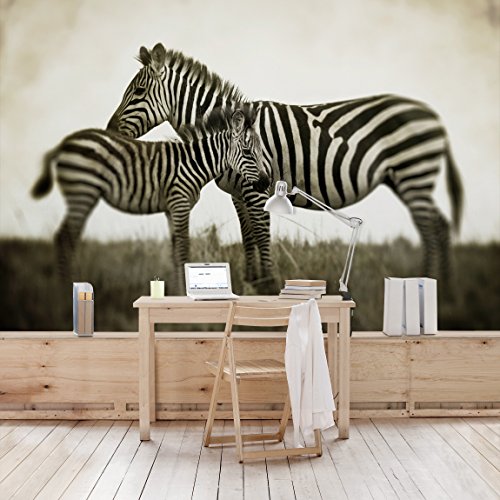 Apalis Vliestapete Zebrapaar Fototapete Breit | Vlies Tapete Wandtapete Wandbild Foto 3D Fototapete für Schlafzimmer Wohnzimmer Küche | beige, 94875 von Apalis