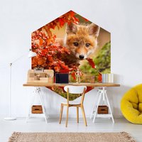 Hexagon Tapete Selbstklebend - Fuchs Im Herbst | Hexagonal Freiform Geometrisch Sechseck Wand Wandbild Tiere Natur von ApalisHOME
