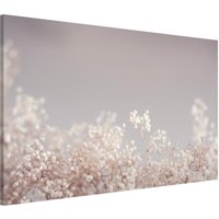 Magnettafel - Sanfter Blütentraum | Memoboard Magnetisch Magnetboard Wandtafel Wandbilder von ApalisHOME