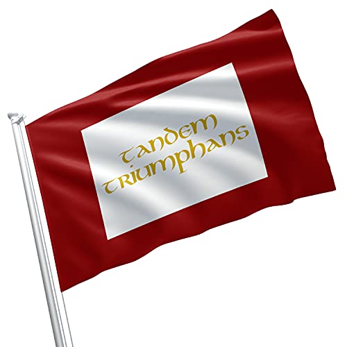 Britisches Imperium Jacobitismus Jacobit Rising 1745 Standard 1688 1745 Rebellion Savagery Britain Kingdom Flagge, Banner, lebendige Farben, doppelt genäht, Messingösen. von Apedes