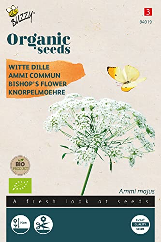 Buzzy Organic Ammi Majus, Knorpelmoehre (BIO) von Arborix, grüner und billiger!