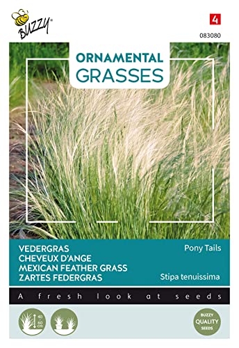Buzzy Ornamental Grasses, Zartes Federgras 'Pony Tails' von Arborix, grüner und billiger!