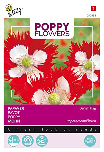 Buzzy Poppy Flowers Mohnblume von Arborix, grüner und billiger!