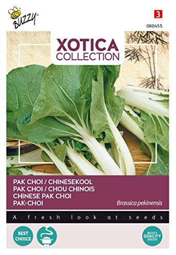 Buzzy Xotica Pak-Choi von Arborix, grüner und billiger!