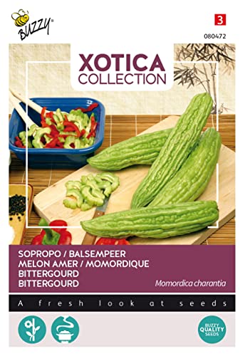 Buzzy Xotica Sopropo Bittergourd von Arborix, grüner und billiger!