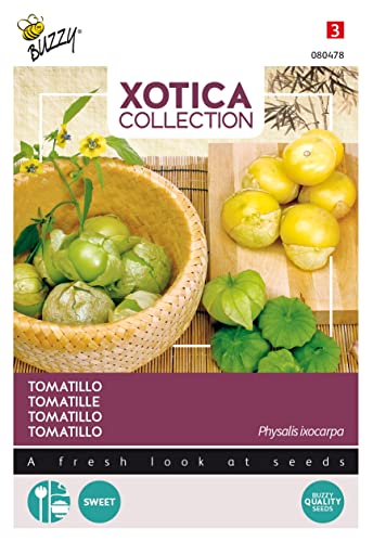 Buzzy Xotica Tomatillo, Mexikanische Andenbeere von Arborix, grüner und billiger!
