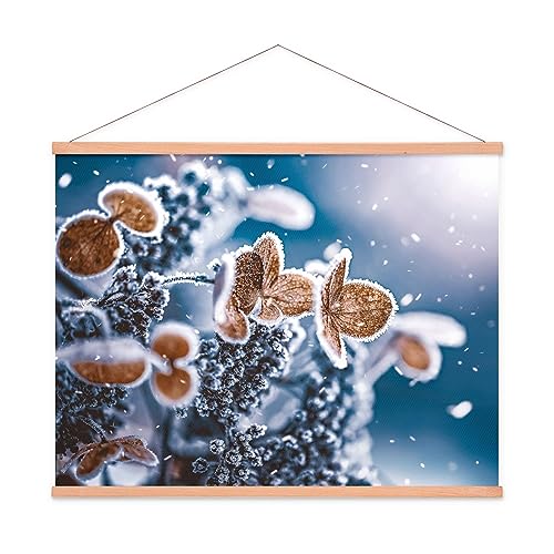 Arcondo Stoffbild Kakemono mit Posterleisten Welke Hortensie im Schnee 77 x 77 cm von Arcondo