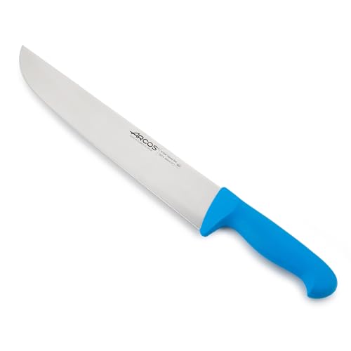 Arcos Serie 2900 - Metzgermesser Steakmesser - Klinge Nitrum Edelstahl 300 mm - HandGriff Polypropylen Farbe Blau von Arcos