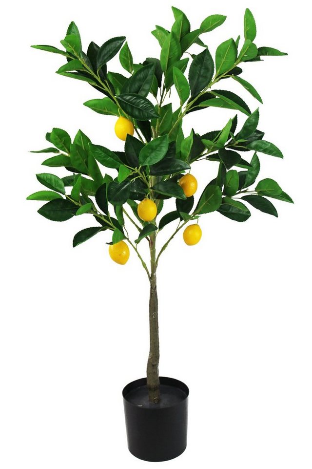 Kunstpflanze Kunstbaum künstlicher Zitronenbaum Dekopflanze Zitrone, Arnusa, Höhe 80 cm, Zimmerpflanze fertig im Topf von Arnusa