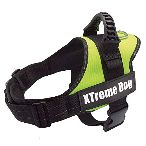 Arquivet Xtreme Hundegeschirr Neon Grün - Größe: S / 50-64 cm von Arquivet