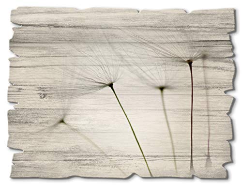 ARTland Wandbild aus Holz Shabby Chic Holzbild rechteckig 40x30 cm Querformat Botanik Blumen Pusteblume Landhausstil T5SQ von ARTLAND