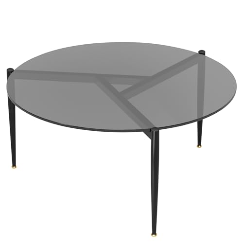 Artloge Couchtisch Rund Glas Wohnzimmertisch: Nordischer Minimalistischer Gehärtetem Glas Sofatisch - Moderner Beistelltisch für Zuhause, Wohnzimmer, Terrasse, Garten - 80 cm × 80 cm × 40 cm Grau von Artloge