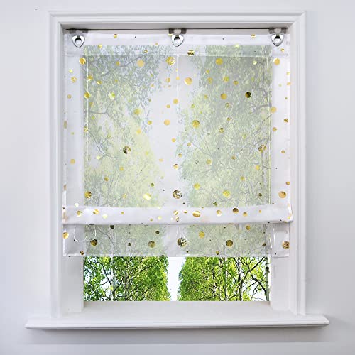 Voile Raffrollo mit Silber Heißprägen Design Raffgardine Transparent Ösenrollo Fenster Vorhang (BxH 60x130cm, Gold Kreis) von BAILEY JO