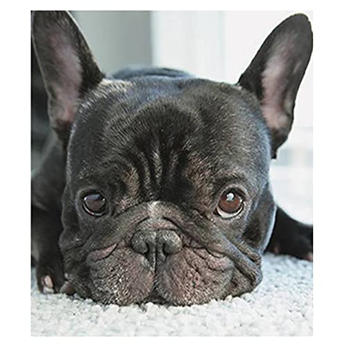 BEEOFICEPENG 5D DIY Kreuzstich-Malerei Kleine Hunde schwarz Köpfe Stickerei Französische Bulldogge rund Welpe von BEEOFICEPENG