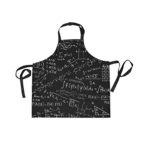 BEUSS Schwarz Mathematik Physik Formel Schürze für Das Kochen Küchenschürze Latzschürze Kochschürze mit 2 Taschen Verstellbarer Umhängeband für Backmänner Kellner Männer Frauen Koch von BEUSS
